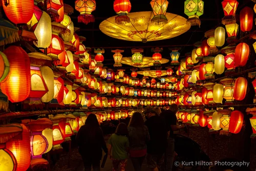 Cary chinese lantern on sale festival discount tickets